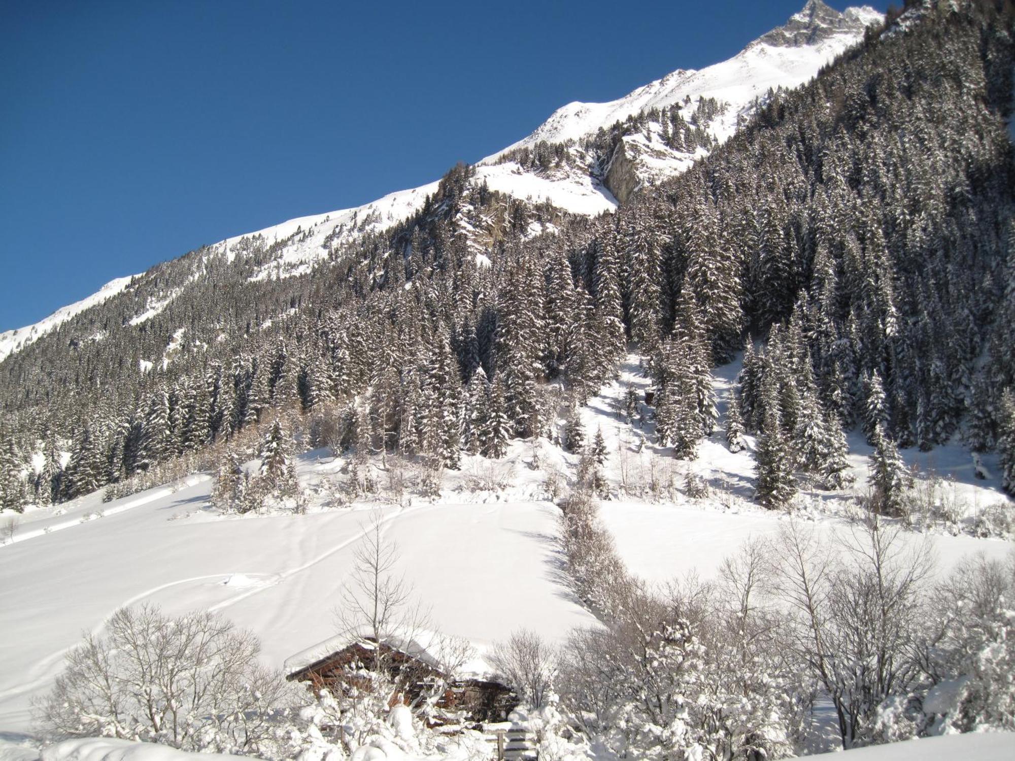 Alpina Appartement Sankt Leonhard im Pitztal Bagian luar foto