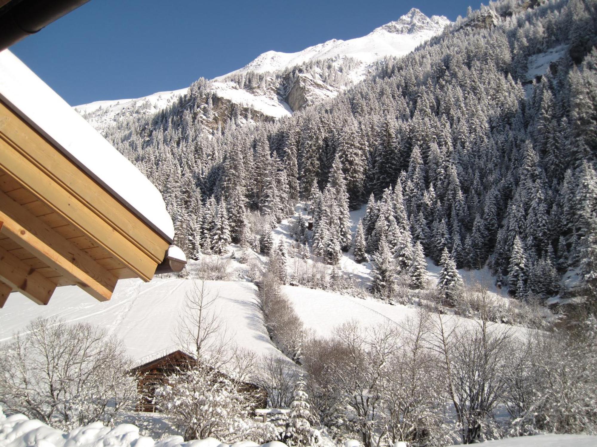 Alpina Appartement Sankt Leonhard im Pitztal Bagian luar foto