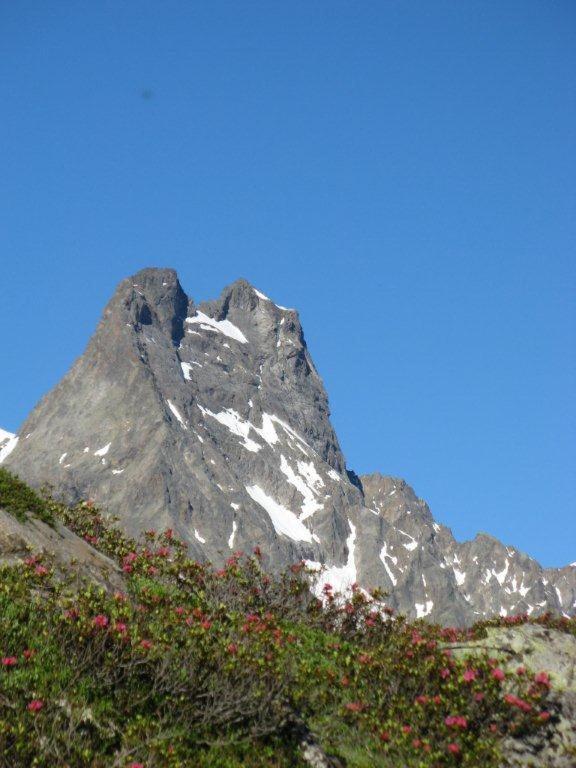 Alpina Appartement Sankt Leonhard im Pitztal Bagian luar foto